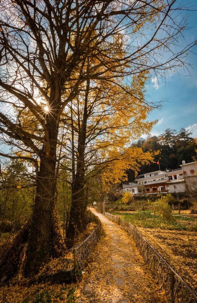 中国国家地理推介！宣城这里，将迎最美时刻！