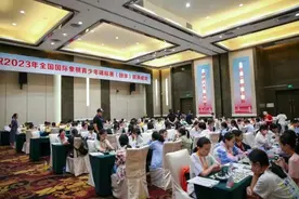善弈者说：国际象棋，有情无界图片