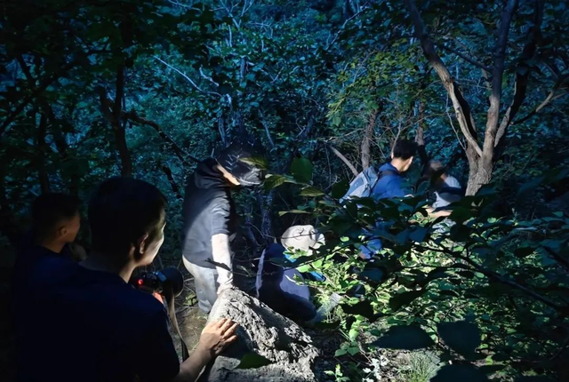 登山变“渡劫”？北京两游客遇险，女子被119抬下山……