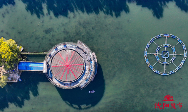 太美了！11月的沈阳，是这样的……