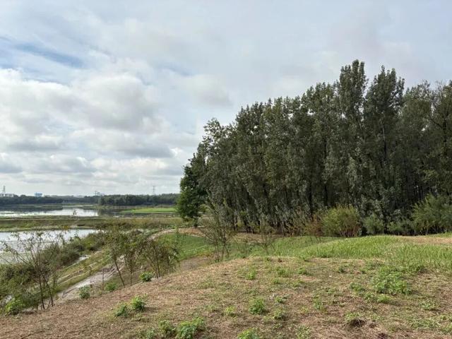 一位北京女骑手的双重生活：我不愿活成我母亲那样