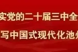 池州市人大常委会公告、批准任命人员名单、决定图片