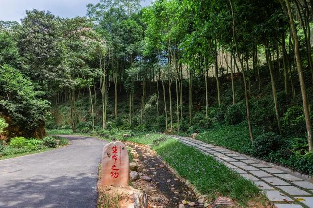 相约南宁！2025南宁森林苗寨印象·千年苗侗狂欢节！10月1日起送票啦！