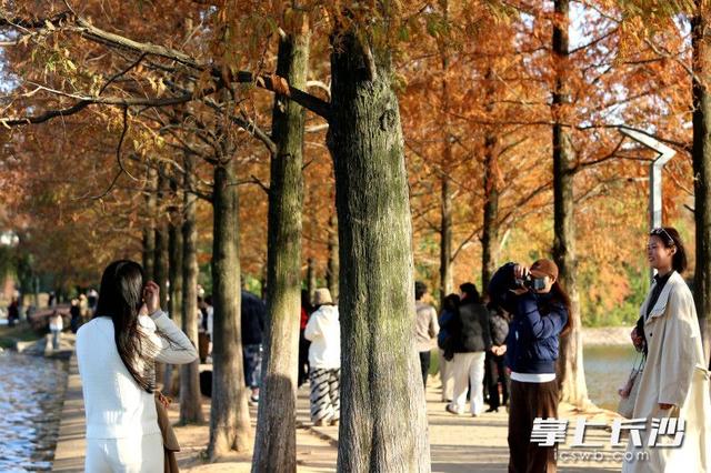 又是艳阳天，打卡人如潮｜组图