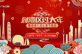 到湾区过大年！2025蛇年粤港澳大湾区春节晚会定档年廿八图片
