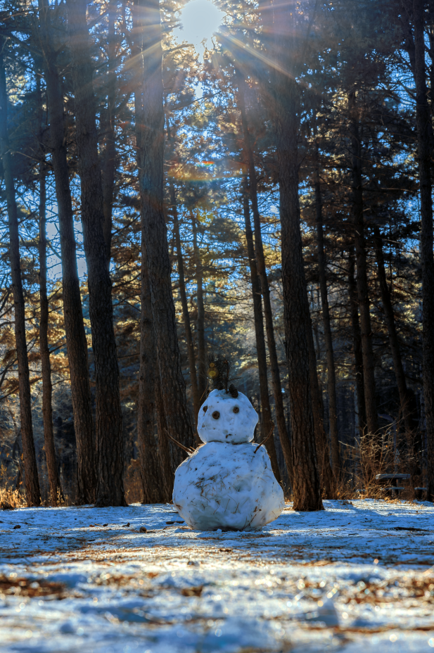 雪国净月 心归之处
