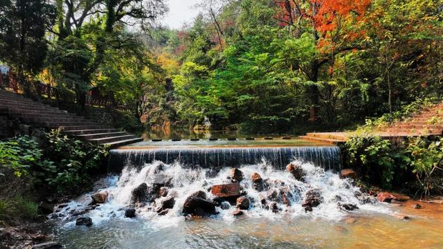 你好，青原山 | 这抹初冬红韵，藏着最热烈的山野浪漫