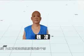 官方披露：一政法干部主动加入“黑社会”，获刑4年多图片