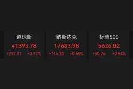 纳指、标普500五连阳，科尔黛伦矿业涨超6%图片