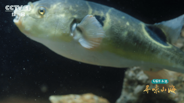 山海相逢处，至味在漳州
