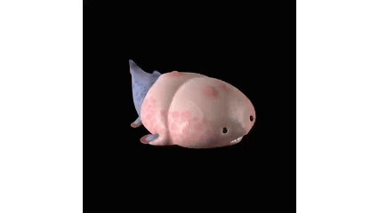 这个小盒子里的化石材料，产生了非常多举世瞩目的成果	，有十几篇顶刊文章｜卢静 一席少年第36位讲者