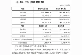 *ST红相拟挂牌转让最大子公司，连续亏损遗留问题多多，变相低价剥离？图片