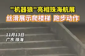 “机器狼”亮相珠海航展！丝滑展示爬楼梯、跑步动作图片