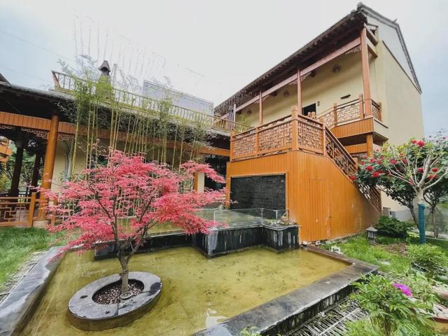 走！金秋到杨凌“村”游去