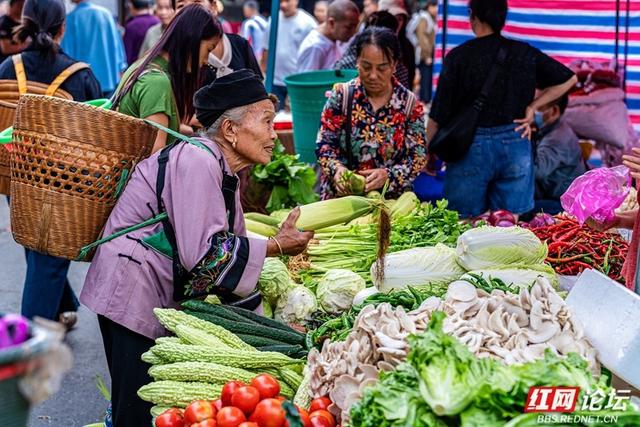 秋游时刻丨湘西苗族聚集地的赶集日常，藏着最鲜活的民族烟火