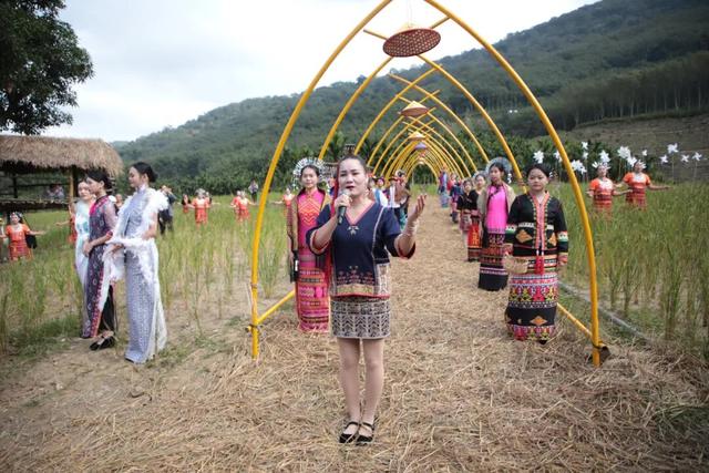 多图+视频！一起回看2025年白沙“啦奥门”雨林与您山兰文化活动精彩瞬间