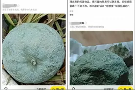 这种橘子网上卖600块？专家紧急提醒！图片