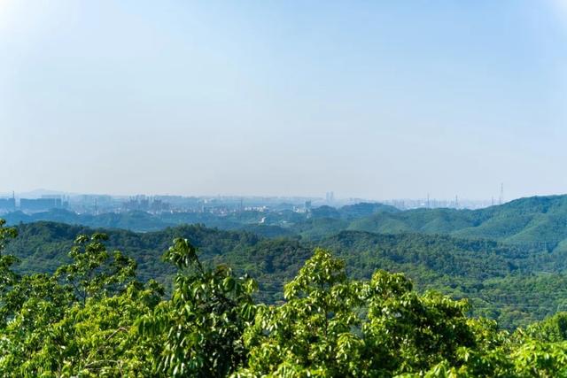 双节“反向旅游”？宝安这几个冷门地，人少景也美