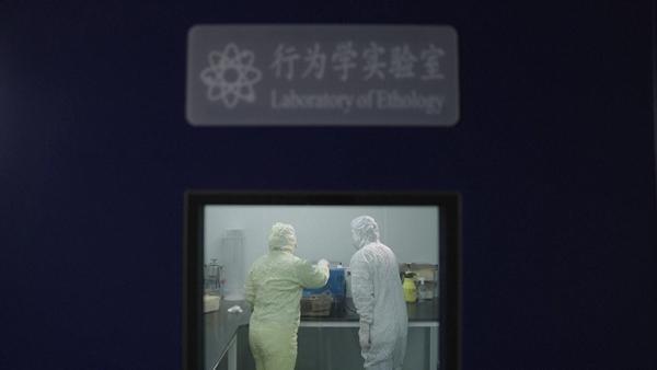 “太空小鼠”出征记