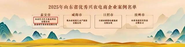 喜报！宁阳县3个电商案例成功荣获省级优秀兴农案例