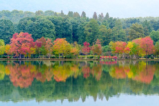 秋声渐杳 斑斓成诗#