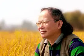 石鼓书院邂逅宋军书法图片
