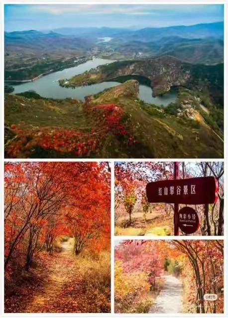 “泉”在济南享金秋——“一城山色·登山打卡”带你来赏红叶啦！