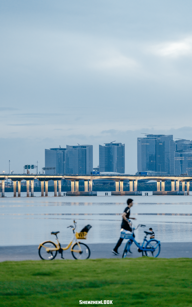 “看牛看海看夜景，深圳骑行路线精选”