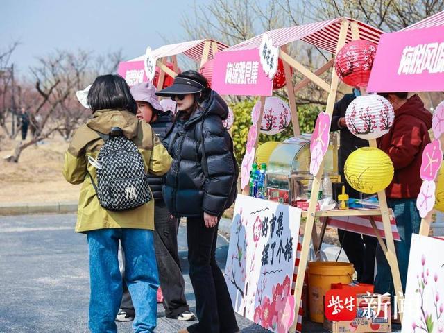 梅香绕梅园 竹马贺新春，灌云梅园“青梅竹马”赏花季启幕