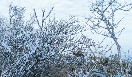 新宁：瑶山之巅雾凇首秀刷屏