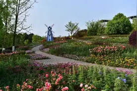 喜迎“双节” 铁山坪森林公园风景上新图片