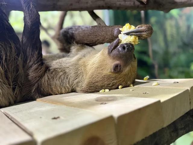 淡季优惠来了!这些秦岭景区向你发出冬日邀约