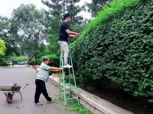 青州市云驼风景区运行服务中心：聚焦景区品质提升 持续推进设施维护