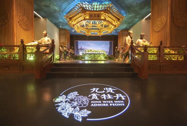 起猛了，我在洛阳被「牡丹」包围了！