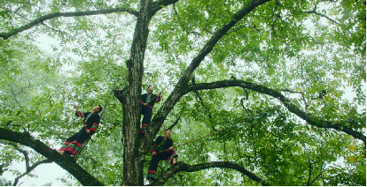 来漾濞的十个理由！每个都很好……