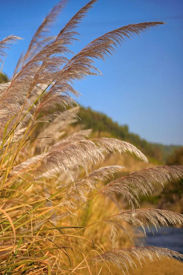 周末露营天花板，来福安“野” 一天！