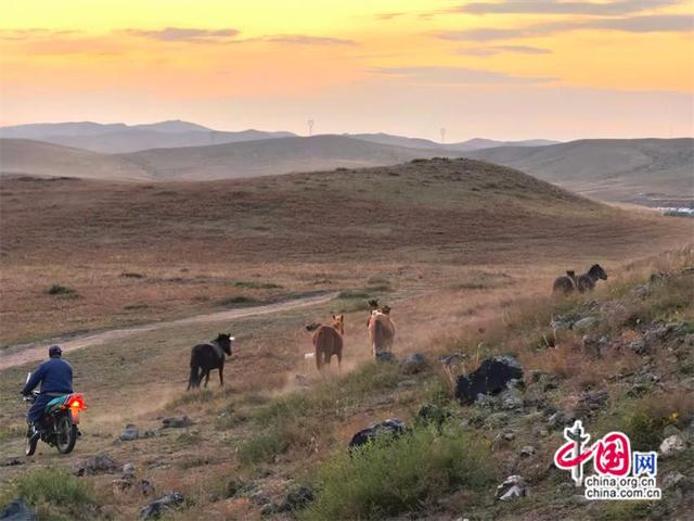 高舜礼：区域旅游市场逐鹿，谁人堪当胜负？