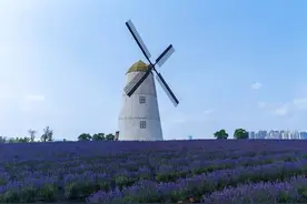 长沙月亮岛5月20日重新开放，上岛交通指南请查收图片