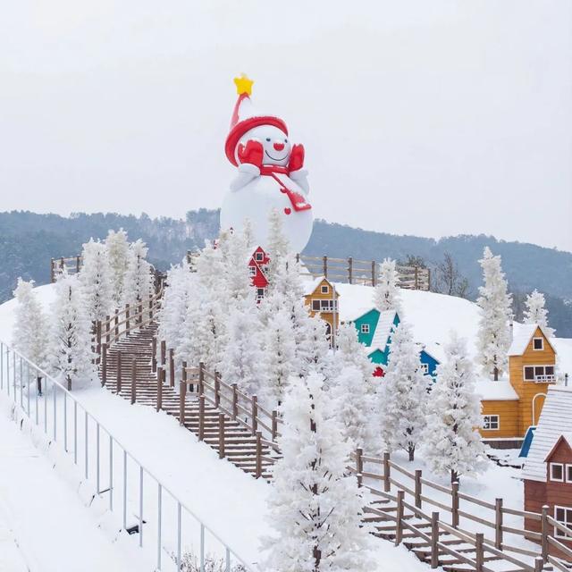 不用去尔滨！高明盈香森林雪国即将上线，户外也能玩真雪