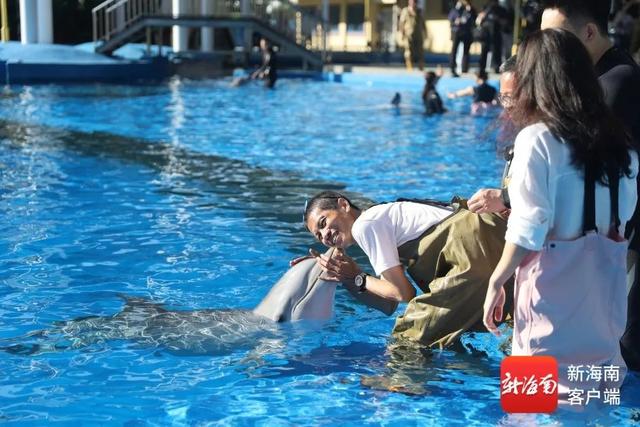 组图｜中外媒体团走进陵水 沉浸式感受海南海洋保育与海岛魅力