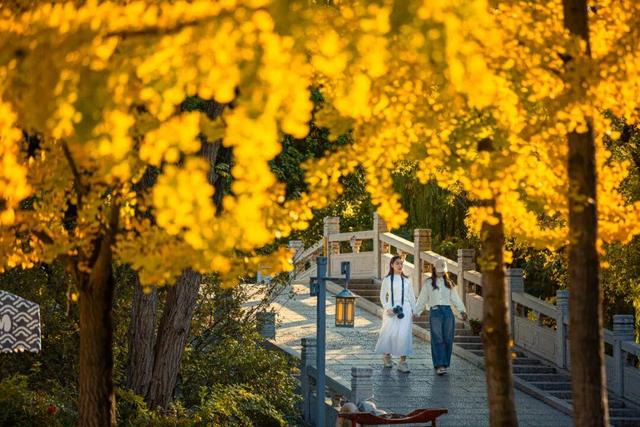 巨划算！冬游台儿庄古城，这份“买一送一”的跨年旅行攻略请收好