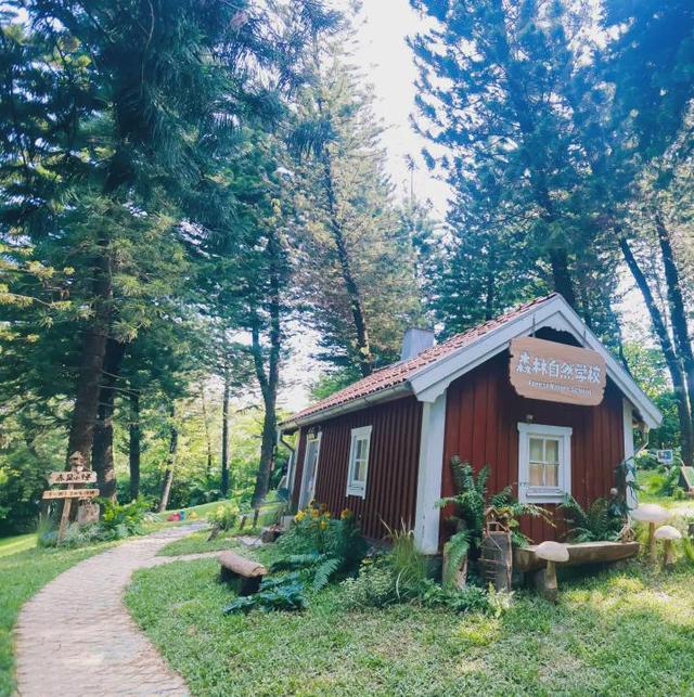 绿美云山丨以森林入药 漫享云山身心疗愈