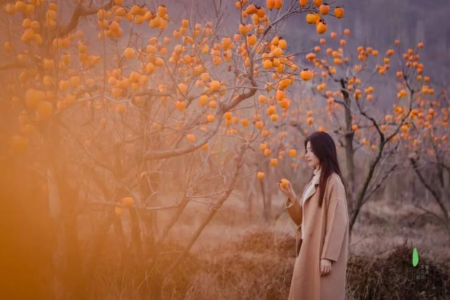 又好吃又好看！日照这里，火成新晋顶流！