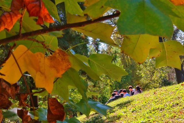 北京：秋色斑斓