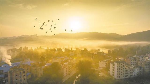 曲靖：光影流转 冬韵如诗