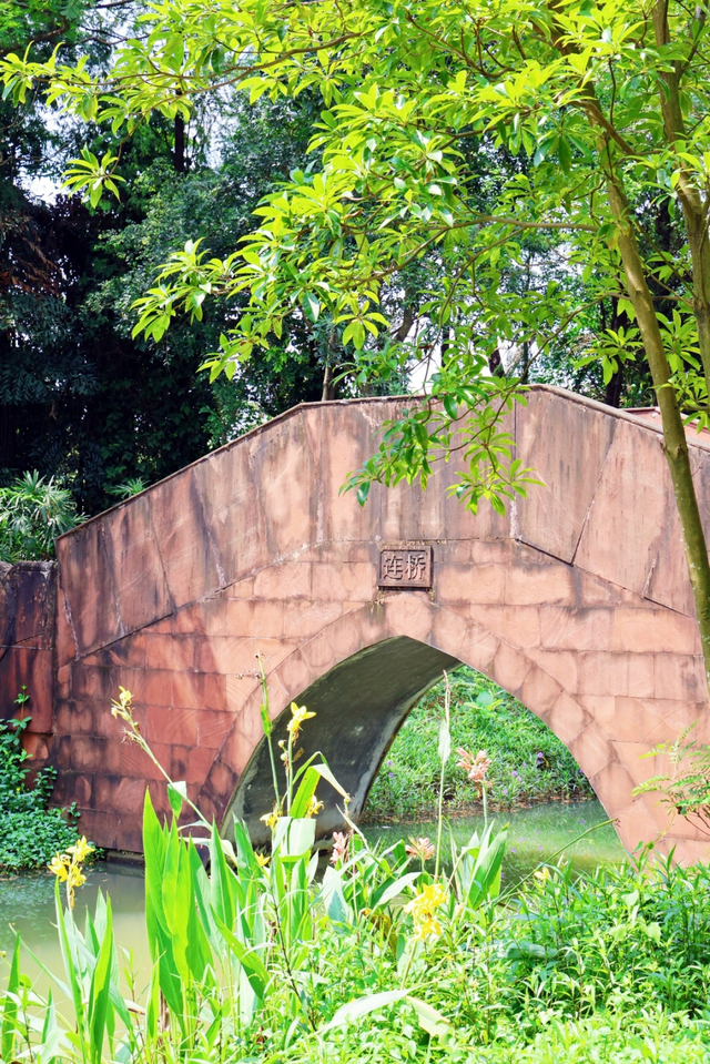 萌物来袭，“喜洋洋”和“乐融融”玩转望牛墩！