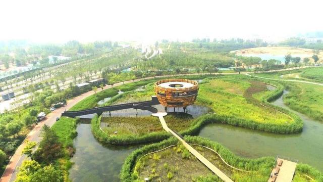 全球金奖！这次是——