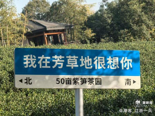 写点生活｜长兴水口疗养记