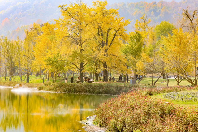 步履承楚韵 声量贯九州——网络大V荆楚行圆满收官