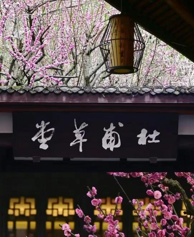 【2026成都冬令营】雪韵蓉趣，嗨玩蜀冬：解锁巴适成都生活！